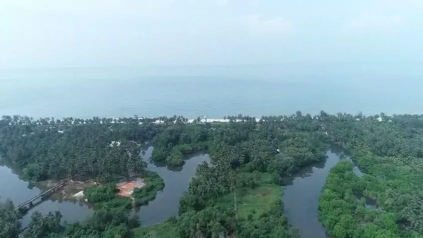 Aerial view of a meandering creek and coconut groves just inland of the Arabian Sea.